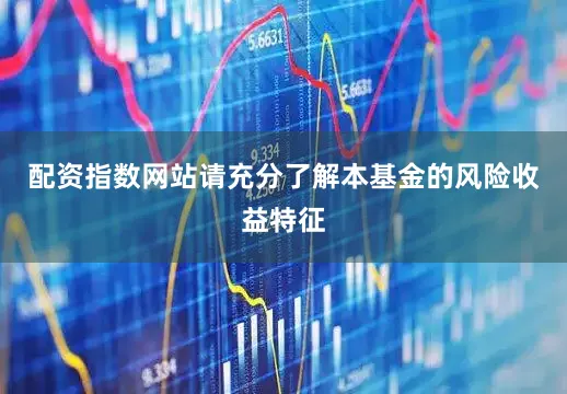 配资指数网站请充分了解本基金的风险收益特征