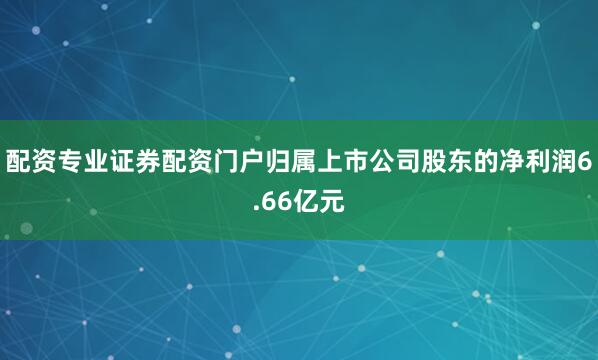 配资专业证券配资门户归属上市公司股东的净利润6.66亿元